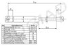 JEEP 55394245AB Gas Spring, rear windscreen